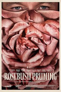 2026.RosebushPruning